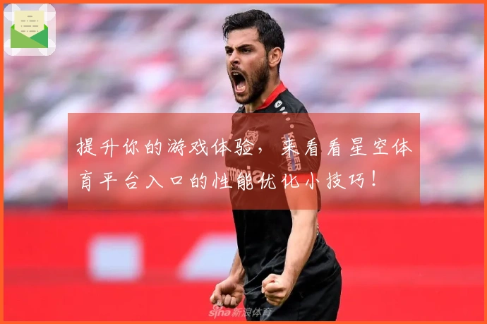 提升你的游戏体验，来看看星空体育平台入口的性能优化小技巧！