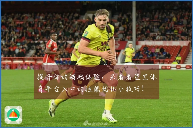 提升你的游戏体验，来看看星空体育平台入口的性能优化小技巧！