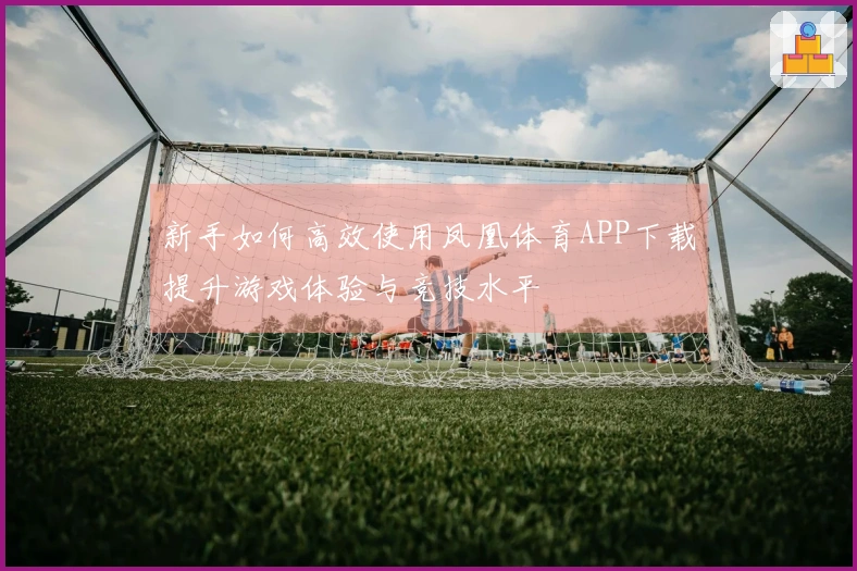 新手如何高效使用凤凰体育APP下载提升游戏体验与竞技水平